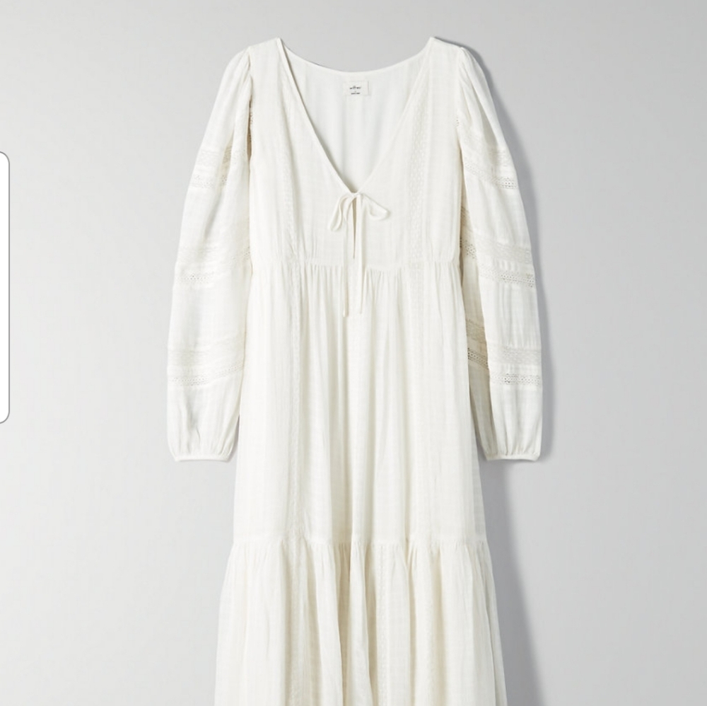 Aritzia Wilfred Whimsy Dress